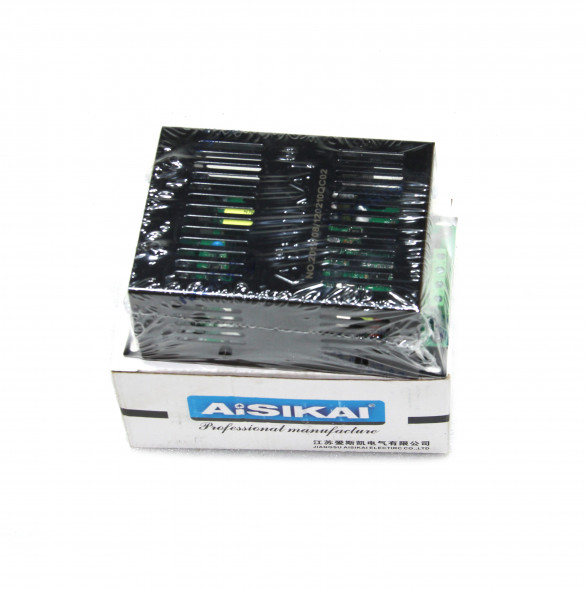 Сетевое зарядное устройство Aisikai BAC06 12V (24V)